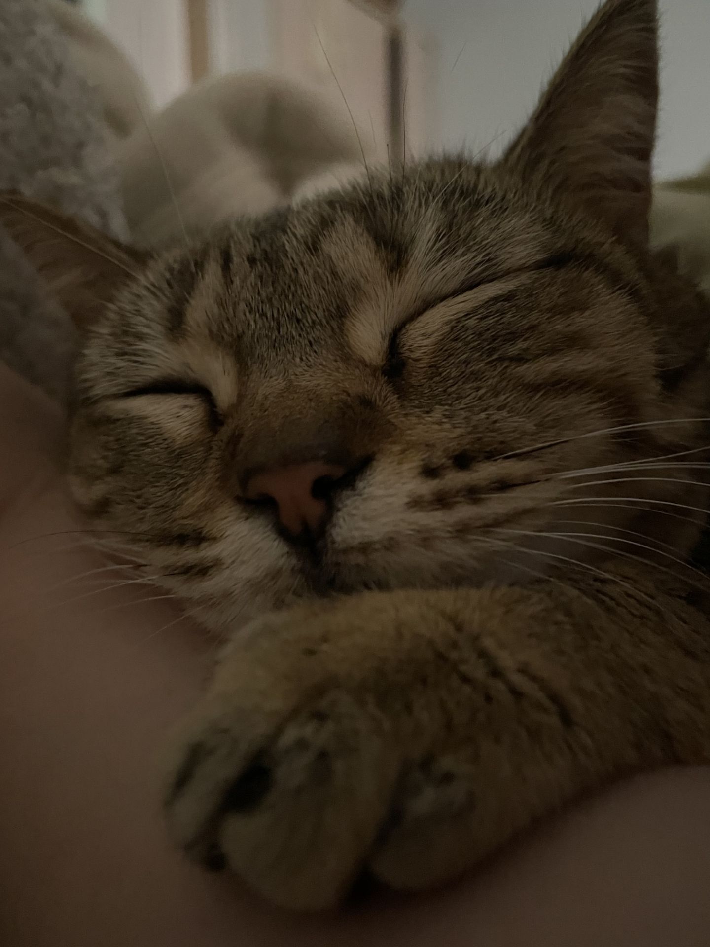 Desktop banner image 1